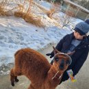 윤우목장 이미지