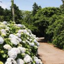 동광리-5 이미지