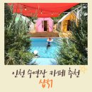 카페51