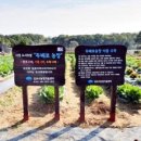 시영농장 이미지