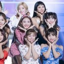 비타메드 이미지