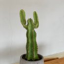 아베이으 이미지