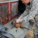 산수장모텔 이미지