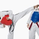 퇴계행복한태권도 이미지