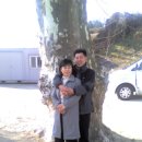 감천초교 이미지