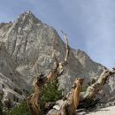 Whitney mountain 14,505 feet (4,421 m). 07-11-07-12-2026 2탄 이미지