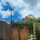 cafe 오사팔구 | [두번째치앙마이] ChiangMai _02