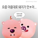 웨이브짐(거북섬점) | [시흥] 웨이브파크 카라반_서울근교 거북섬 글램핑(ft.블루웨이브 커피)