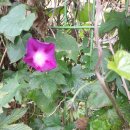 길상유통 이미지