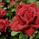 이유휘트니스 이미지