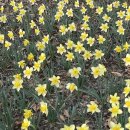 매탄우리들약국 | 동탄호수공원산책으로 신난 하루,술먹고 인생에서 하루 없애다.