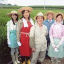 전원일기 이미지