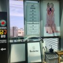 젠틀당구장 네이버블로그