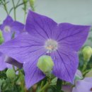 서흥초교 이미지