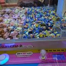 짱구뽑기 | 철산 캑티 가챠샵 후기 | 짱구·주술회전 뽑기 도전기 + 매장 정보