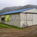 장암로 Daum카페