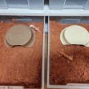 알비노랩 이미지