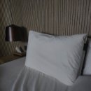 브라운도트 진하해수욕장점 이미지