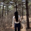 매송공원 이미지