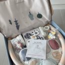 브릭스 | 하베브릭스 아기체육관 언박싱 &amp; 후기 🎵 신나게 뒹구는 아기비버