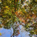 노원골유아숲 이미지