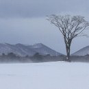 사공