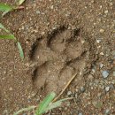 동면초등학교 이미지