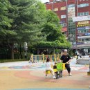 과천시 중앙공원 이미지