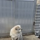 연태팜 | [연태여행] DAY3 2박3일 연태 여행 마지막 날 | 소청리/완다몰/홍커우 1920/연태 주토피아/연태맛집...