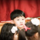 변동초교병설 이미지