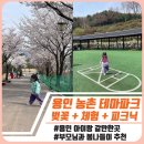 활농장 | 용인 농촌 테마파크 벚꽃 후기｜아이랑 봄나들이 코스