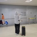 김포민박 | 대만 여행 1일차 가오슝 : 김포>가오슝>헝춘(컨딩)으로.. 헝춘 좋은데??