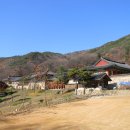 용문산 둥지 이미지