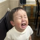 대패꽃피네