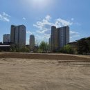 (학교)명주초 이미지