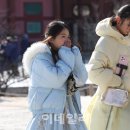 연일 이데일리
