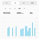 신비세탁 이미지
