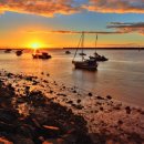 정서연 카카오 검색결과