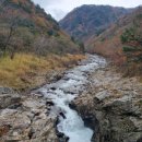 50년 만에 개방된 청정 자연의 비경,,,신분증 있어야 볼 수 있는 단풍 명소~! 이미지