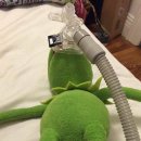 롱타임노씨 이미지