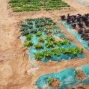 자경농장 이미지