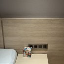 도미니클라바 이미지