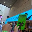 장보는강아지와고양이동 | 서울 코엑스 2026 서울국제도서전 얼리버드 평일 방문 솔직 후기