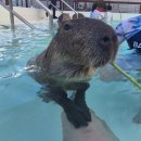 홍대입구역 1번 출구 앞 자전거보관소 | 02. 대만 가오슝 4박5일 컨딩 1박 근교 여행 (시저파크호텔 후기)