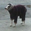 기운 이미지
