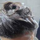 동탄지성로 1L(4->5) | 여성 남성 탈모샴푸 내돈내산_모다모다 돌콩 엑소좀 탈모샴푸 1L _ 7일 사용 후기