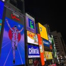 소소원더테라스 | [오사카] 모녀여행 3박 4일 자유일정 총정리 (교토포함) | 맛집추천, 쇼핑리스트