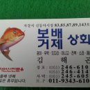 보배상회 이미지