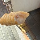 장돌이어묵 | [구리시 맛집] 구리시장 숨은 어묵 맛집, 장돌이 부산어묵 솔직후기