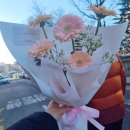 결혼 끝 그냥 일상 시작 ~ / 입덧 끝 행복 시작